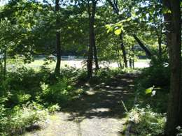 08.jpg
